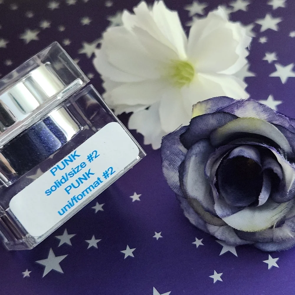 ⭐️ HOST PICK ⭐️ PUNK 💜 Lit Cosmetics Loose Glitter